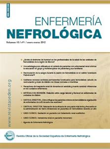 Portada del volumen 15, primer trimestre de 2012