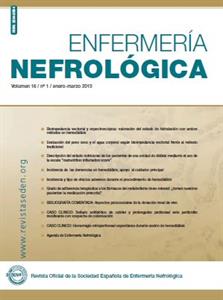 Portada del volumen 16, primer trimestre de 2013