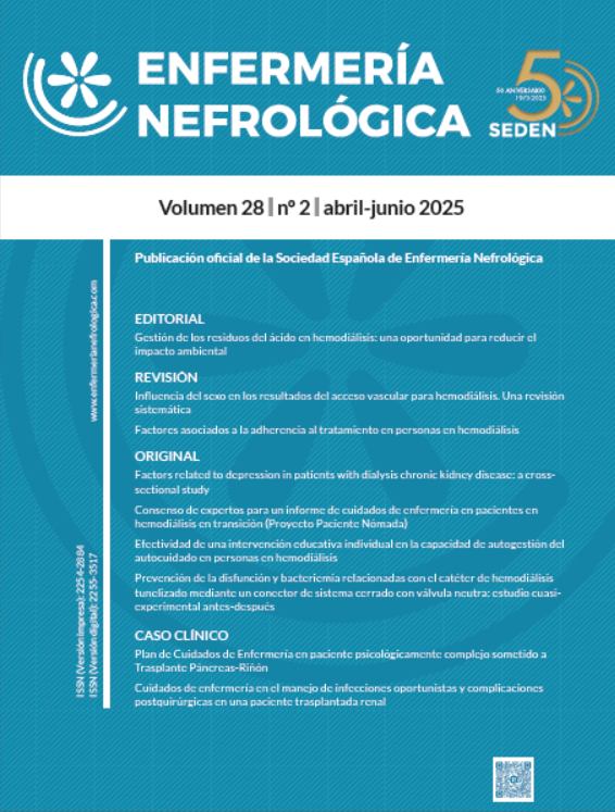 Portada volumen 28, nº 2 de 2025